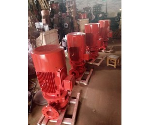 立式消防泵组  XBD2/13.9-80-125 5.5KW