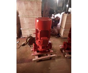 立式消防泵直销价 XBD1.6/12.5-80L-125A 4KW