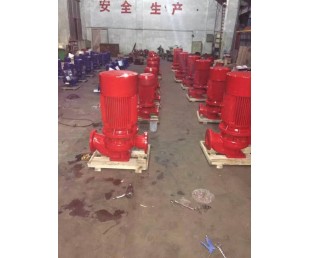 鹰潭立式消防泵厂家XBD2.4/12-80-160B 5.5KW