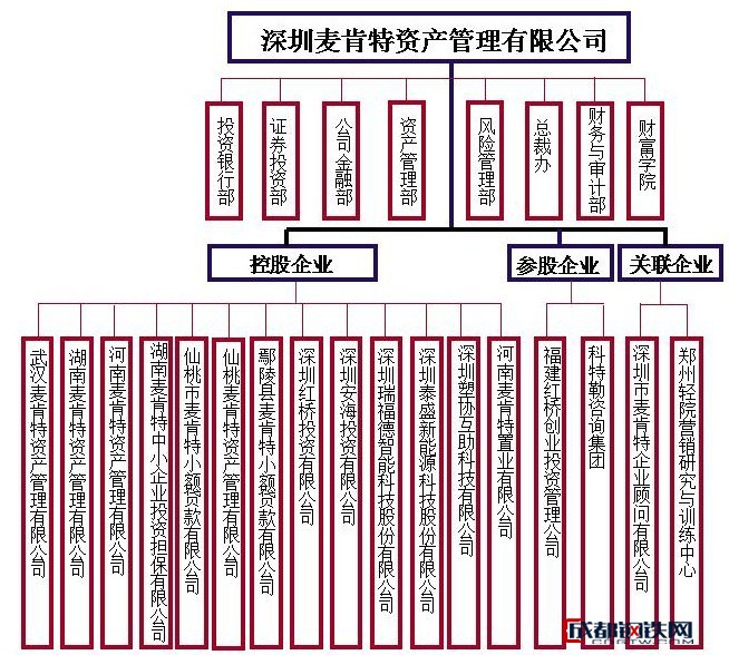 深圳市麦肯特资产管理有限公司的组织架构
